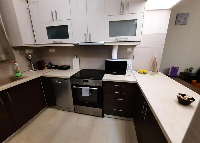 Cozy Flat Near The City Center